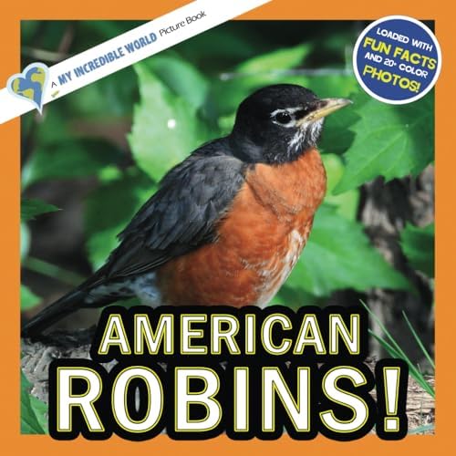All About Robins: Rubin, Alan: 9798692787057: Amazon.com: Books
