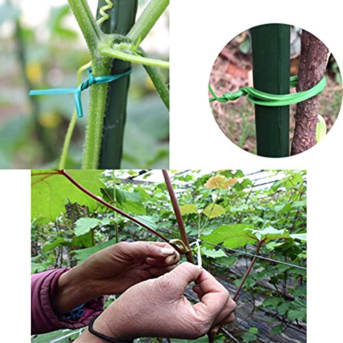 NKTM Twist Tie with Cutter Garden Training 328 Feet Heavy Duty Green Coated Plant (2 Pack)