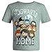 Harry Potter Toddler Boys 3 Pack Pullover T-Shirts Blue/Grey/Red 2T