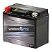 YTX12-BS iGel Battery - High Performance, Maintenance Free, Sealed Motorcycle Battery