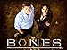 Bones Season 1