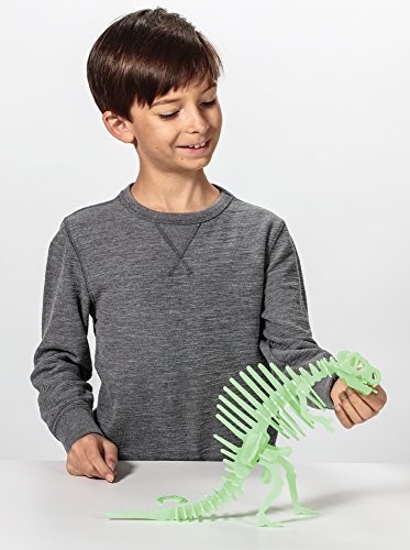 Glow-in-the-Dark Dinosaur Puzzle 3-D Toy Figurine