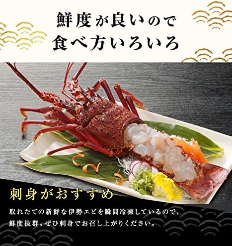 Amazon 厳選国産 活〆 伊勢海老 超特大1匹 500g前後 急速冷凍 高級 贈り物 新鮮 刺身 ぷりぷり 冷凍 活〆冷凍 伊勢エビ 伊勢えび 身が大きい レシピ同封 送料無料 キセキメディア株式会社 エビ 通販
