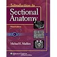 Introduction to Sectional Anatomy (Point (Lippincott Williams & Wilkins))