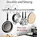 Nidouillet Kitchen Rail Wall Mounted Utensil Racks with 10 Stainless Steel Sliding Hooks for Kitchen Tool, Pot Lid, Pan, Towel AB005