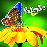 Butterfly Calendar - Calendars 2019 - 2020 Wall Calendar - Photo Calendar - 12 Month Calendar by Pre by 