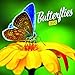 Butterfly Calendar - Calendars 2019 - 2020 Wall Calendar - Photo Calendar - 12 Month Calendar by Pre by 