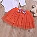 Infant Baby Girl Outfits 1st Birthday Pumpkin Long Sleeve Romper Top Ruffle Tulle Tutu Skirt Headband 3pcs Clothes Set (One, 18 Months)