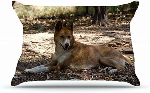 Queen Pillowcase Size 20 x 30 Inches Cotton Pillowcases Decorative Pillow Cover with Hidden Zipper Decor Cushion Covers - Animals resting dingo s lies wild dog For Indoor