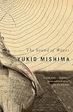 The Sound of Waves