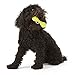 WEST PAW Zogoflex Hurley Dog Bone Chew Toy – Floatable Pet Toys for Aggressive Chewers, Catch, Fetch – Bright-Colored Bones for Dogs – Recyclable, Dishwasher-Safe, Non-Toxic, Large, Granny Smith