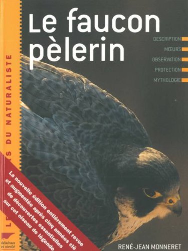 Le  faucon pèlerin