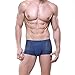 Welltogther Mens Ice Silk Boxer Briefs Breathable Panties Underwear