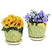 MyGift 4-Inch Decorative Green & Yellow Bamboo Designed Ceramic Flower Pots with Attached Saucer, Set of 2