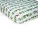 Disney Prehistoric Footprints 4 Piece Toddler Bed Set, The Good Dinosaur