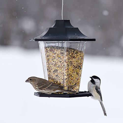 Perky-Pet Carriage Bird Feeder 310
