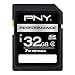 PNY 32GB Performance Class 4 SD Flash Card (P-SDHC32G4H-GE)