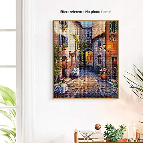 DIY 5D Diamond Painting Kits for Adults Full Drill, Paintings Pictures Arts Craft for Home Wall Decor,5D Painting Diamonds Kit Street(11.8 x 15.8 in) (Street)