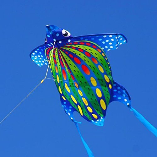 X-Kite Mini Nylon Kite w String; TURTLE: 21.5 Inch Wingspan