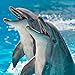 2020 Dolphins Calendar 12 x 12 Wall Calendar by Bright Day Calendars (Under The Sea Wall Calendar) (Dolphins 2019)