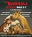 The Bunnicula Collection: Books 4-7: Nighty-Nightmare; Return to Howliday Inn; Bunnicula Strikes Again!; Bunnicula Meets Edgar Allan Crow