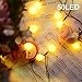 Binval Solar Globe Optional Automatic Timer String Lights 50 LED Ball Fairy Christmas Lighting Decor with8 Modes For Outdoor, Indoor, Garden, Patio, Bedroom Wedding Decorations (Warm-White)