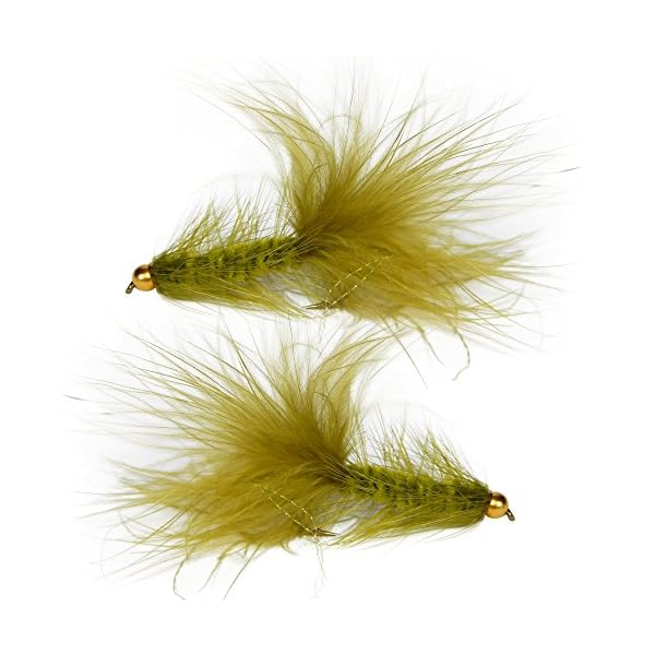 Woolly-Bugger-Trout-Fly-Fishing-Streamer-Assortment-6-Flies