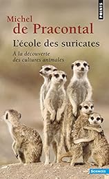 L' école des suricates