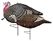 Primos 69064 Gobstopper Jake & Hen Decoy Combo primary