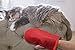 Evercare Pet Hair Remover Glove Pic-Up Mitt (2) and Magic Lint Brush (1) for Pets Clothes Furniture and Travel