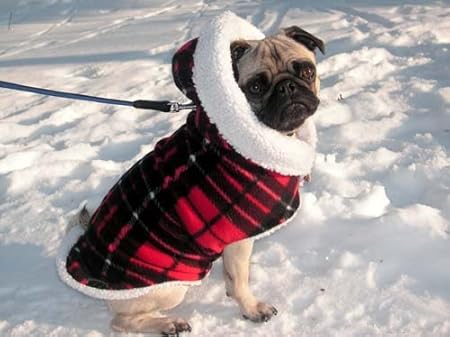 Pug dog clothes for winter Clearance