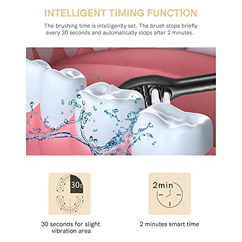 Electric Toothbrush, Sonic Rotation for Adults with 4 Brush Heads with Dupont Bristles, 1 Travel Case, 1 Dental Floss, 2 Minute Timer, Wireless Rechargeable Battery 1000mAh Lasts for 30 Days, Gray U1B