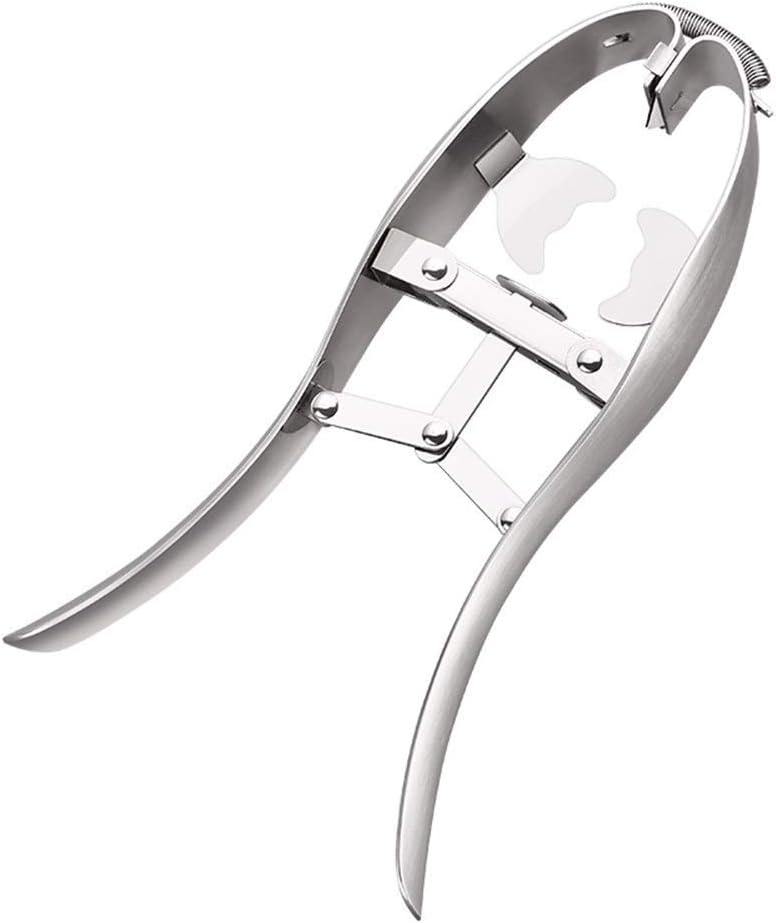 Eggshell Opener Scissor Cracker, Ashero Stainless Steel Egg Cutters, Quick Open Eggs Kitchen Gadgets, Raw Soft Eggs Shell Remover Smooth Round Opening