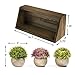 Mildenhall Artificial Plastic Mini Plants for Decoration - Topiary for Versatile Home Decor with Attractive Solid Wood Shelf Included - Set of 3 Plants with Shelf
