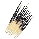 10Pcs Black Porcupine Quills Hair Stick Indian Crafts Accessories Fishing Buoy DIY Sewing Project Kits Sewing Notions and Supplies