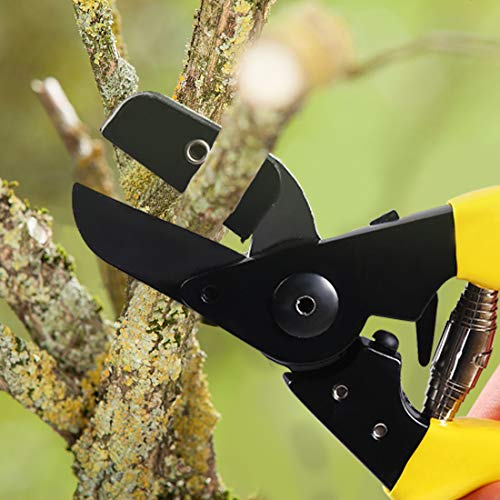 Terme Pruner (Shock Absorbing Squeeze Pruning Shears) - Thumbnail 6
