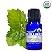 Organic, Patchouli Oil - Premium 100% Pure, USDA Organic, Natural Therapeutic Grade, baby-oils, hair-treatment-oils, body-oils, facial-oils, scented-oils (10 ml)