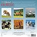 The Spirited Horse 2015 Wall Calendar