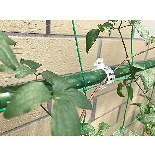 RAYNAG 200 Pieces Tomato Clips Trellis Plant Support Clips Vegetable