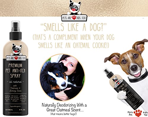 Dog Training Made Easy With The Included Tips 5 Premium Pet Anti Itch Deodorant Spray & Scent Freshener! ALL NATURAL & Hypoallergenic! Soothes Dogs & Cats Hot Spots, Itchy, Dry, Irritated Skin! Reduces Odor, Allergy Relief! Smells Amazing! (1 Pack)
