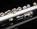 Glory HAND-ENGRAVED SILVER PLATED HIGH GRADE FLUTE 17 Hole OPEN/CLOSED C Flute With Case, Tuning Rod and Cloth,Joint Grease and Gloves,HIGH GRADE HAND ENGRAVED