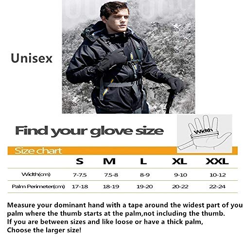 Winter Warm Gloves Touch Screen Driving Gloves Water Resistant Windproof Cold Weather Sports Gloves for Running Cycling Outdoor Hiking Skiing Best Gifts for Men and Women+3 Mouth Masks (L, Black)