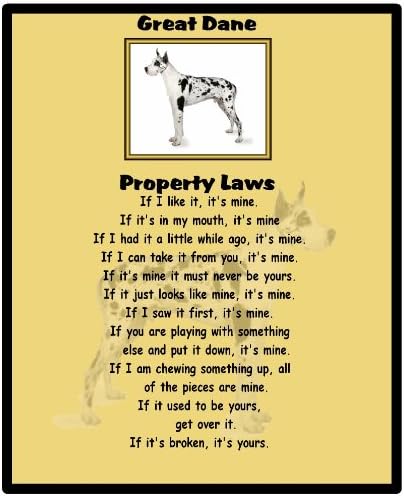 magnetsandhangers Great Dane - Property Laws - Mouse mat