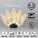Wintergreen Lighting 25 C9 Warm White LED Christmas Lights, 17 Ft – Indoor Outdoor C9 String Lights, Classic White Christmas Lights