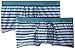 Calvin Klein Men's 2 Pack One Micro Trunk, Watson Stripe/Odyssey, Large