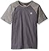 Champion Men's Double Dry Cotton Short Sleeve Raglan T-Shirt, Granite Heather/Oxford Gray, L