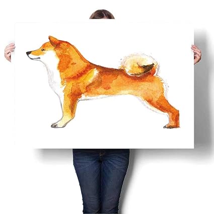 Amazoncom Scocici1588 Canvas Wall Art Shiba Inu Dog