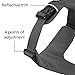 RUFFWEAR - Front Range Dog Harness, Reflective and Padded Harness for Training and Everyday, Twilight Gray (2017), Large/X-Large