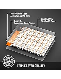 Póster laminado de ejercicios con pelota, entrenamiento total de cuerpo, programa de entrenador personal, póster para el hogar o gimnasio para estabilidad, balance, yoga. Tonifique sus abdominales, piernas, glúteos y parte superior del cuerpo, 20x30 pulga