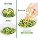 OBloved Baby Food Scissor Cutter, Multifunction Masher Grinder Chopper Crusher, Home and Kitchen Food Slicer Shears, Safe Feeding Tool with Travel Storage Case, Perfect for Babies & Toddlers